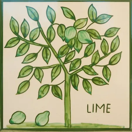 Διαμέρισμα Cristo - Lime