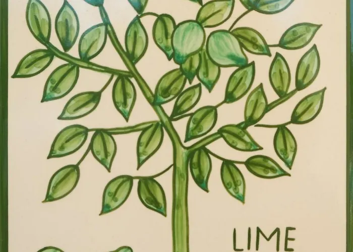 公寓 Cristo - Lime